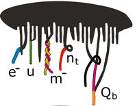 microtubes,creation of particles, pleastration of tubes, gravitation,vector equillibrium, electrons, neutrino