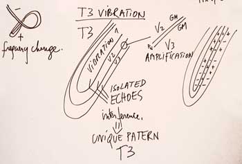 T3 vibrations in big tube theory