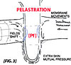 mechanism of pelastration,creating mass,internal resonance