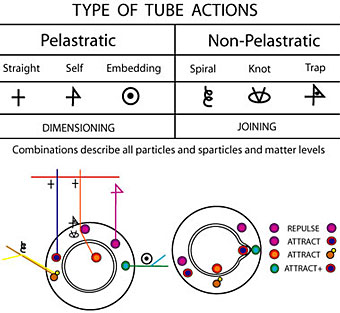 type of tube actions in big tube theory